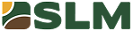 slm-logotipo